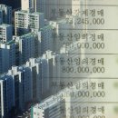 성공적부동산정보와경매 이미지