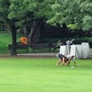 카포에라 브라질 전통무예 이미지