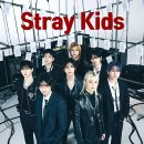 스트레이 키즈 카카오 검색결과