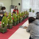 은빛농장 이미지