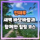 바닷길 풍경 | 진해루 바닷길 산책 – 새벽 바닷바람과 함께한 힐링 코스