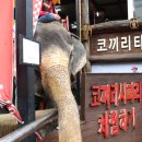 천지연횟집 이미지