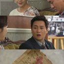 꽃비 이미지