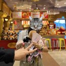 아자엠디 이미지