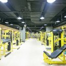 B.D Fitness 이미지