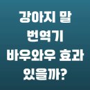 바우와우 | 강아지 말 번역기 바우와우 효과 있을까?