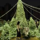 (주)제이 | 스누피 크리스마스 팝업 제이닷트리 스노이빌리지 방문 후기