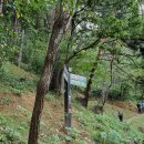 치악산둘레길 11코스 한가터길 이미지