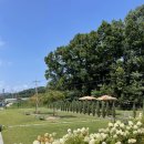 커피랩 지앤지점 이미지