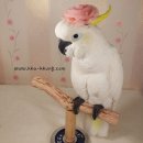 까꿍이네 - 관악구 남부순환로248길 20 | 까꿍이네