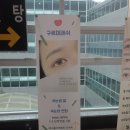 구르미래쉬