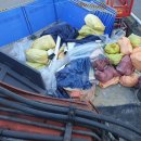 조암환경폐기물 이미지