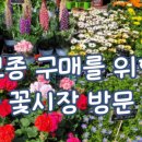 김해농약종묘사 이미지