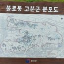 측백나무숲 주차장 이미지