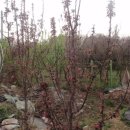 주공농장 이미지