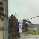 착륙기록#12 제주도 애월 맛집 [스시바미미]