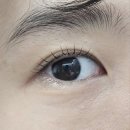 죽전 보정동 속눈썹펌 [베네브로우] 후기 | 분당 손상없는 클리닉펌 할인 꿀팁