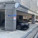 셀포랩포레
