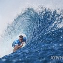 Surfing ma 이미지