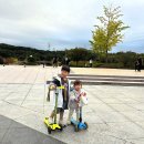 옐로우바스켓 | 유아 킥보드 추천! 마이크로킥보드 맥시 옐로우 실사용 후기💛