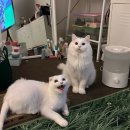 강서방사 이미지