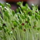 큰집농장 이미지