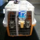 사비켄넬 이미지