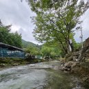 팔현리163 이미지