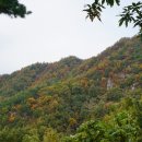 화장산(花長山586m)과 연화산(蓮花山444m)/경남 함양 이미지