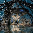 모든장식 이미지