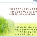 일일예화말씀묵상 2022년 3월 29일 (화) - 어민(Ermine)의 결벽증 이미지