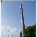 장흥보건지소 | [20140614]양주누리길 1코스ㆍ 2코스ㆍ 3코스 이어걷기(교현리마을회관에서 장흥면사무소까지) - 5부