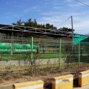 선촌(게이트볼장) 이미지