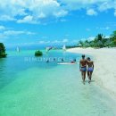 ㈜브릿지여행사 이미지