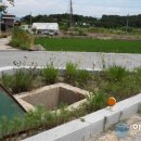 송동면 백평마을 이미지