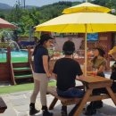 홀스킹덤 팜스테이 이미지