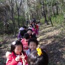 진도유치원 이미지