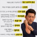 대소동물병원 | 음성군새집증후군 사례 / 음성우미린풀하우스 입주체크리스트 / 유해물질 0.13ppm 검출과 반딧불이시공...