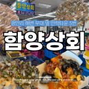 감포상회 | 광안리 가성비 회포장 추천 민락타운 5번 함양상회