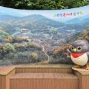 돌리네습지주차장 이미지