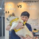 삼화4길 6-1 이미지