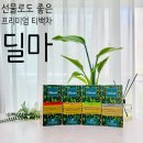 이티이잉글리쉬(ENGLISH) | 집들이선물 프리미엄 티백차 추천, 스리랑카 브랜드 딜마
