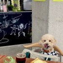 시즈닝 페퍼 이미지