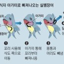 아가미