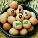 애걸복걸애지중지 이미지