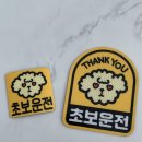 애드모어 | 차량용 자석스티커,초보운전자석스티커 추천 : 애드모어 귀여운 강아지 캐릭터 초보운전 스티커 사용후기