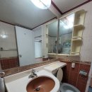 안중늘푸른 이미지