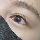 [주안] 속눈썹펌과 틴팅을 함께 오블리래쉬 review - 인천속눈썹 속눈썹펌 틴팅