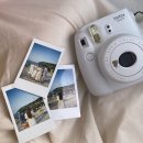 조림명가 이미지