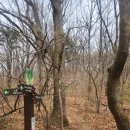 녹동목장 이미지